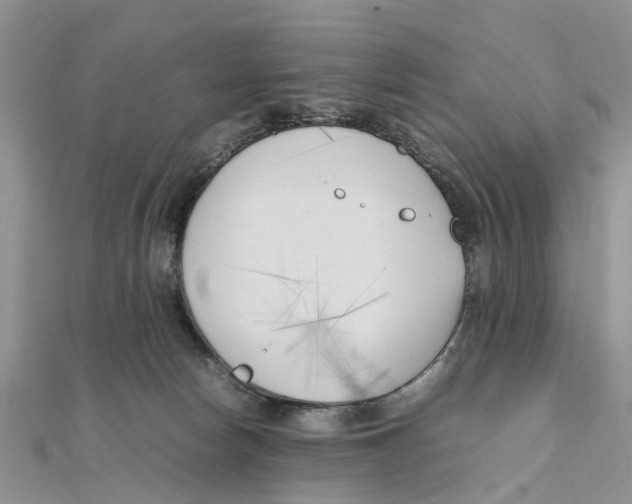 X0000111500178200908111254