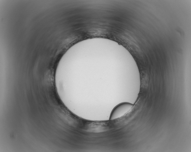 X0000111500179200908111254