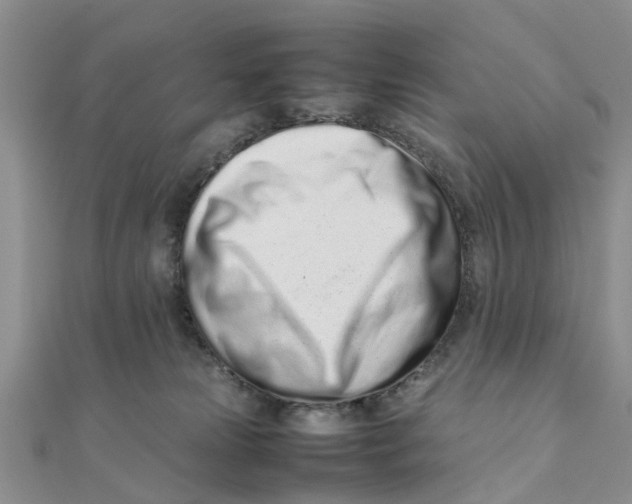 X0000111500181200908111254