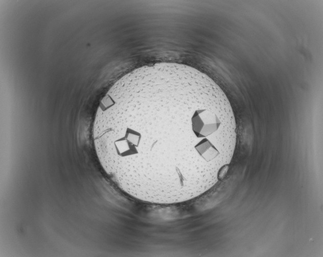 X0000111500185200908111255