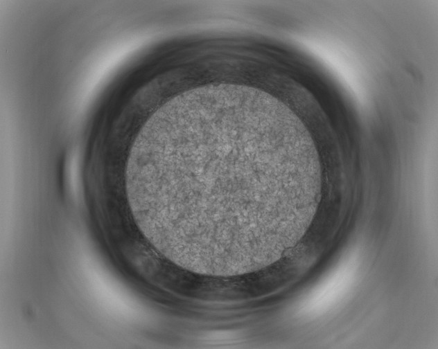 X0000111500189200908111255