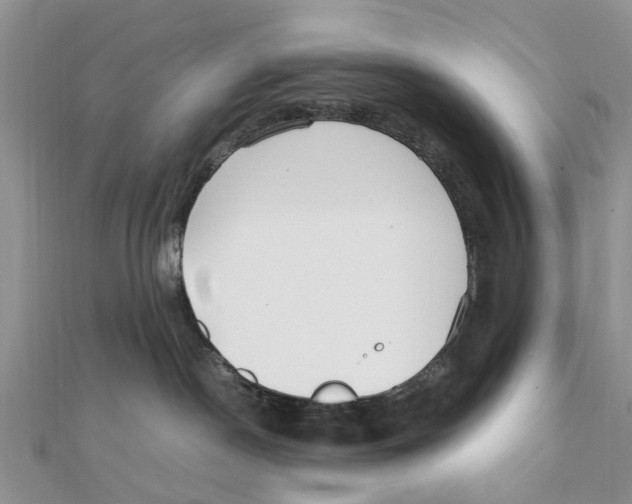 X0000111500190200908111255