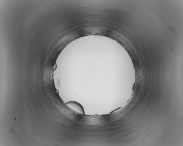 X0000111500191200908111255