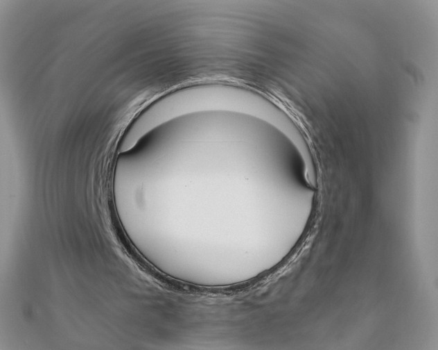 X0000111500193200908111254