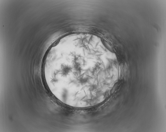 X0000111500195200908111254