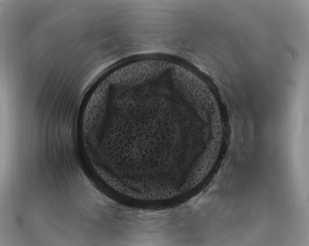 X0000111500196200908111254