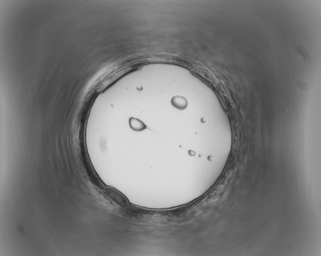 X0000111500197200908111254