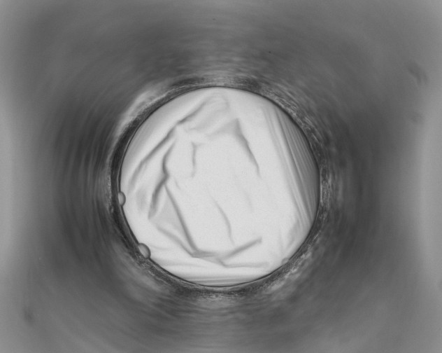 X0000111500198200908111254