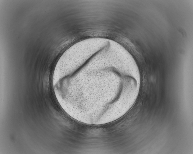 X0000111500202200908111254