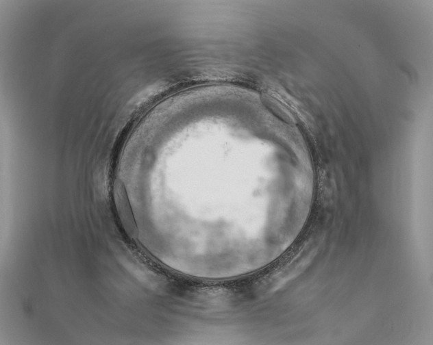 X0000111500203200908111254