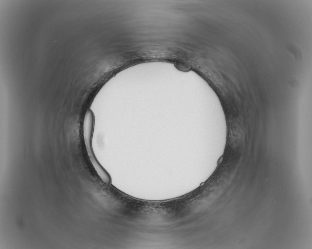 X0000111500207200908111254