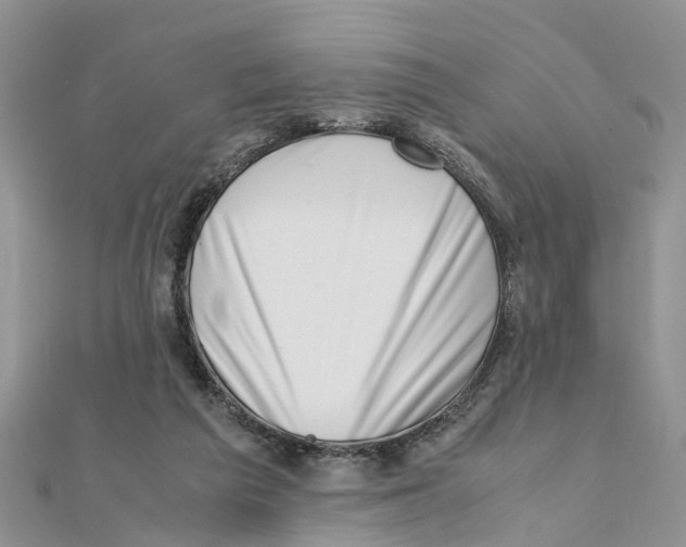 X0000111500209200908111254