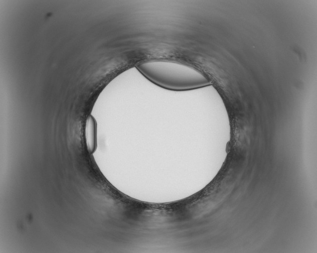 X0000111500211200908111254