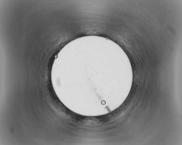 X0000111500215200908111254