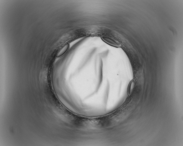 X0000111500217200908111254