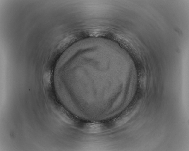 X0000111500219200908111254