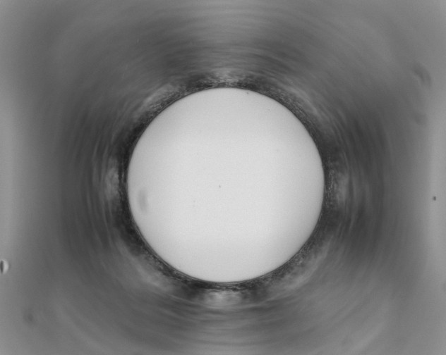 X0000111500220200908111254