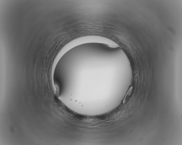 X0000111500221200908111254