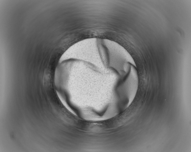 X0000111500222200908111254