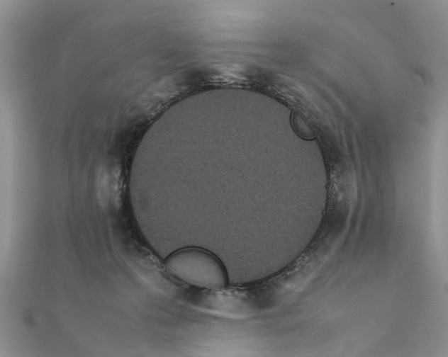 X0000111500223200908111254