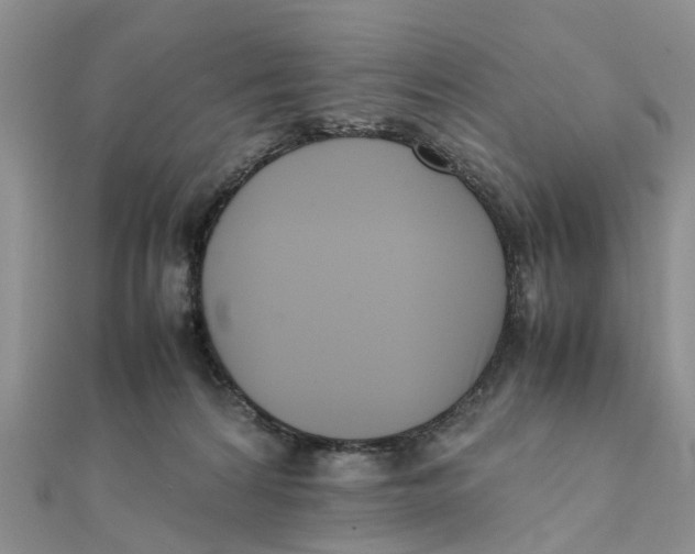 X0000111500224200908111254