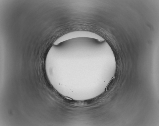 X0000111500225200908111254