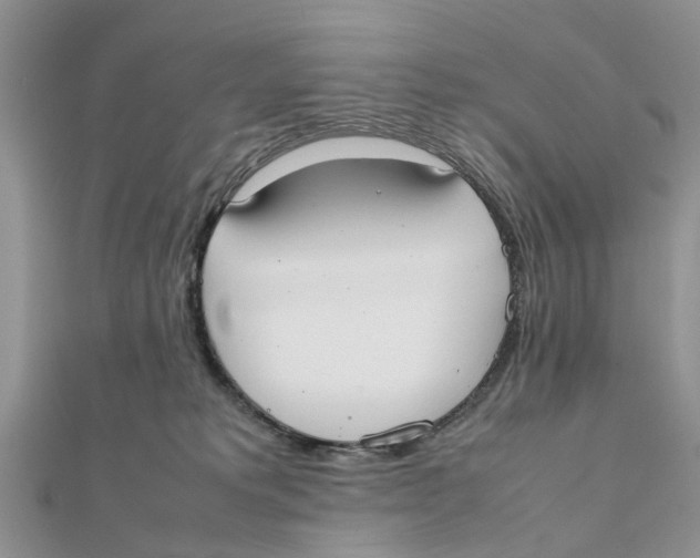 X0000111500229200908111254