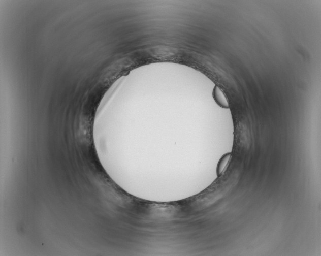 X0000111500234200908111253