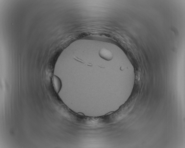 X0000111500235200908111253