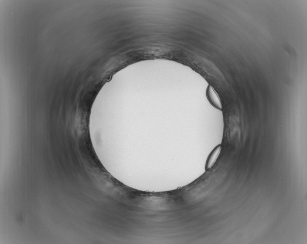 X0000111500236200908111253