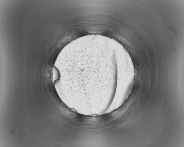 X0000111500237200908111253