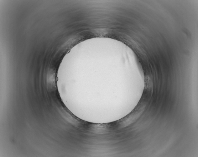 X0000111500238200908111253