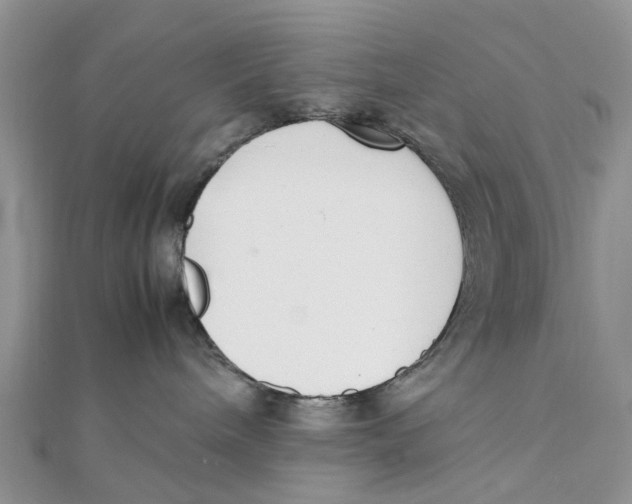 X0000111500240200908111253