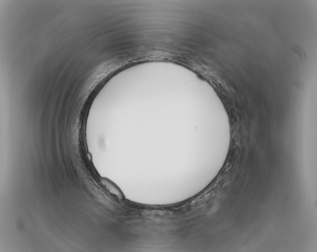 X0000111500242200908111253