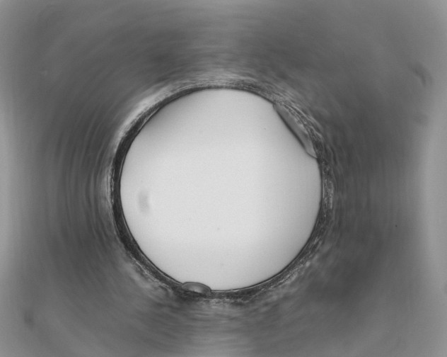 X0000111500244200908111253