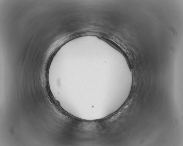 X0000111500245200908111253