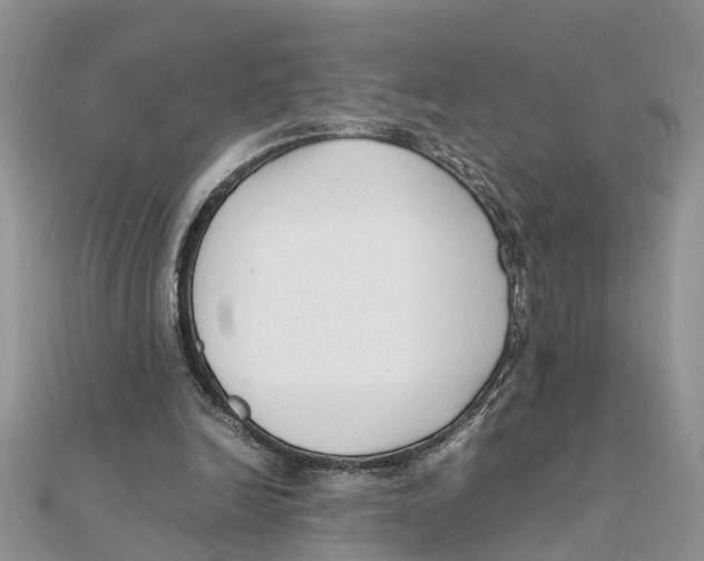 X0000111500246200908111253