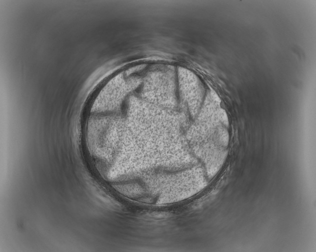 X0000111500247200908111253