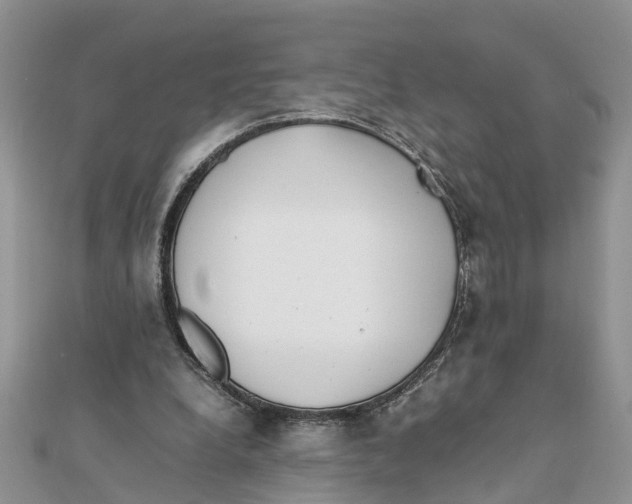 X0000111500248200908111253