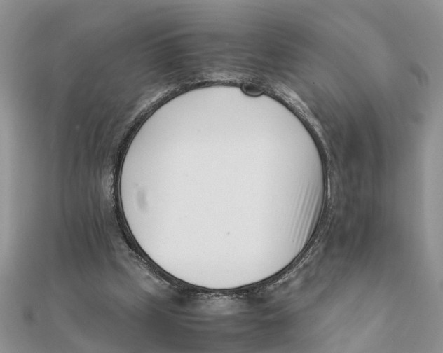 X0000111500249200908111253