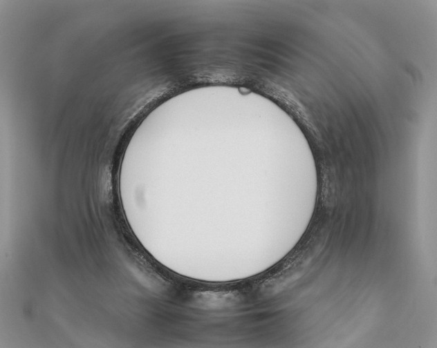 X0000111500251200908111253