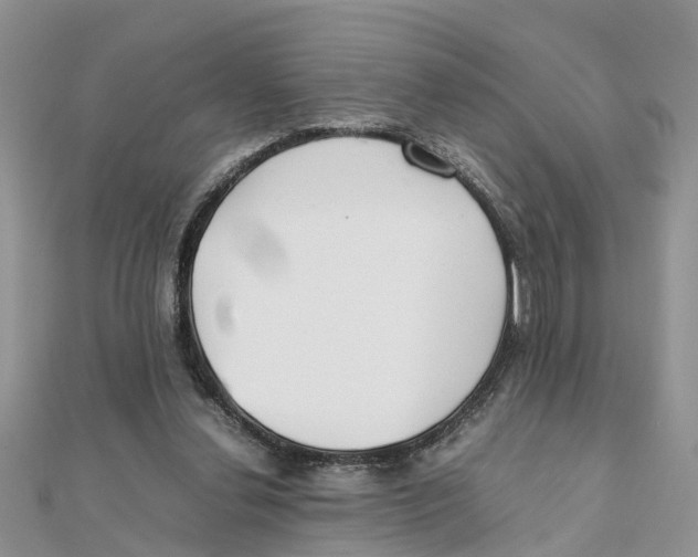 X0000111500252200908111253