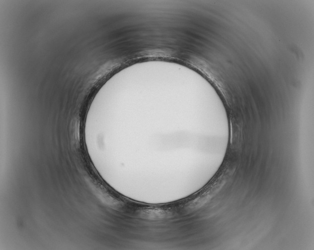 X0000111500253200908111253