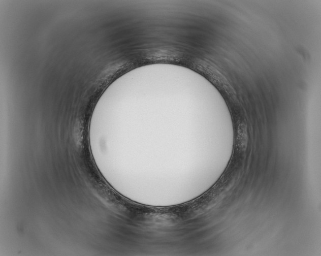 X0000111500255200908111253