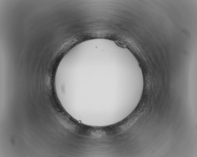 X0000111500258200908111253