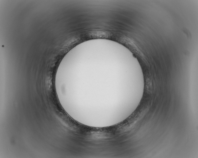 X0000111500259200908111253