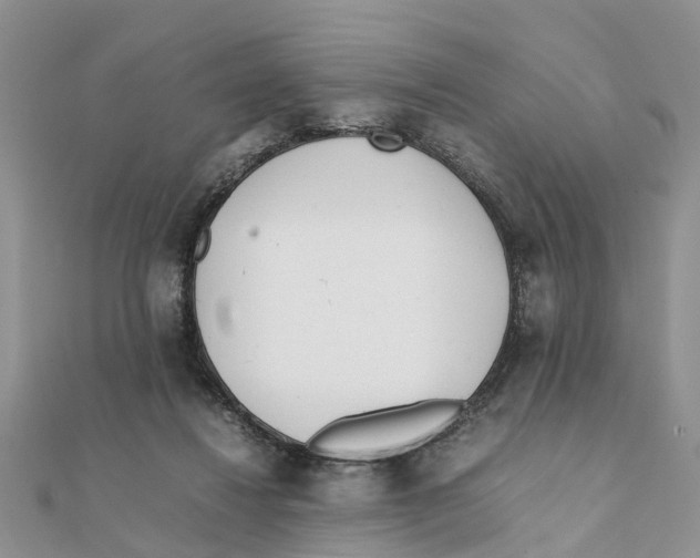 X0000111500260200908111253