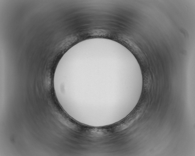 X0000111500261200908111253