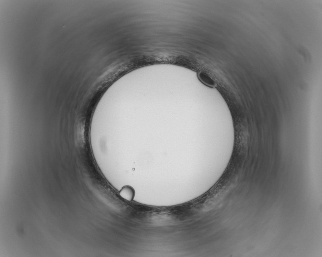 X0000111500262200908111253