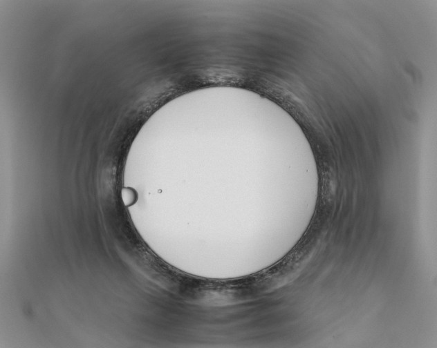 X0000111500263200908111253